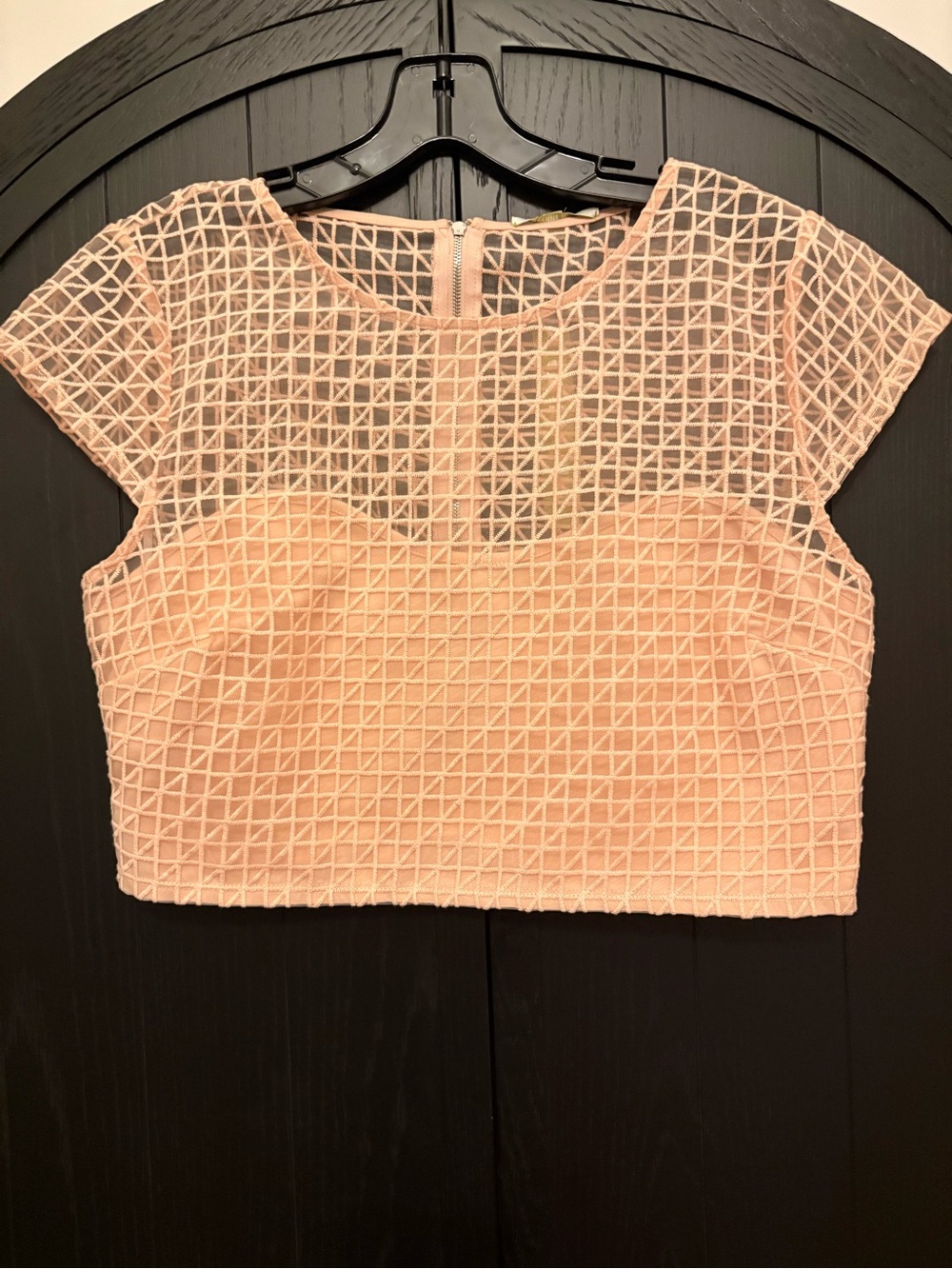 Gianni Bini Blush Peach Grid Mesh Crop top and skirt set.